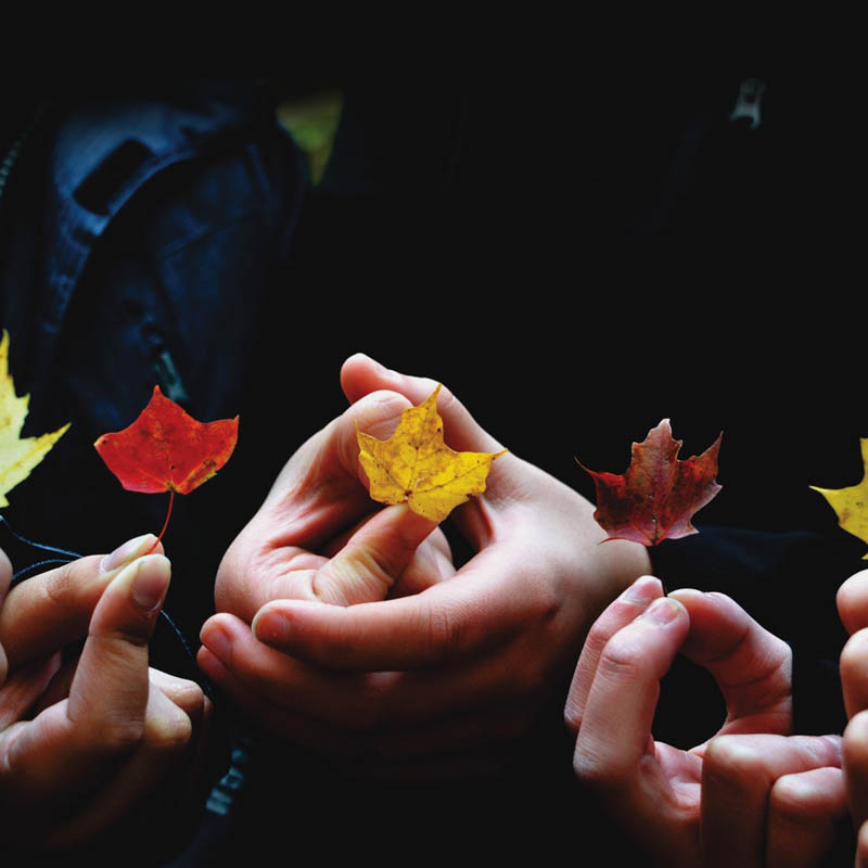 Leadership Programs